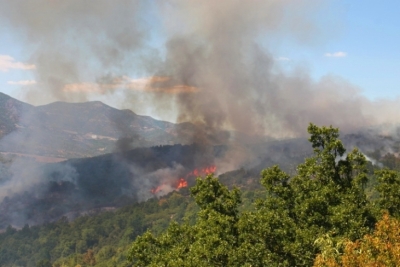 Πυρκαγιά στην περιοχή Κυπαρίσσια του δήμου Μεγαλόπολης