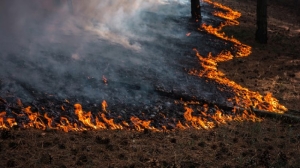 Πυρκαγιά σε δασική έκταση στην περιοχή Ρούτσι Αρκαδίας